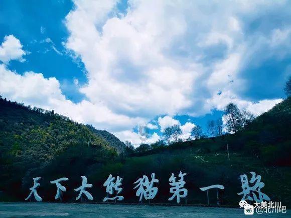 活力跳跳